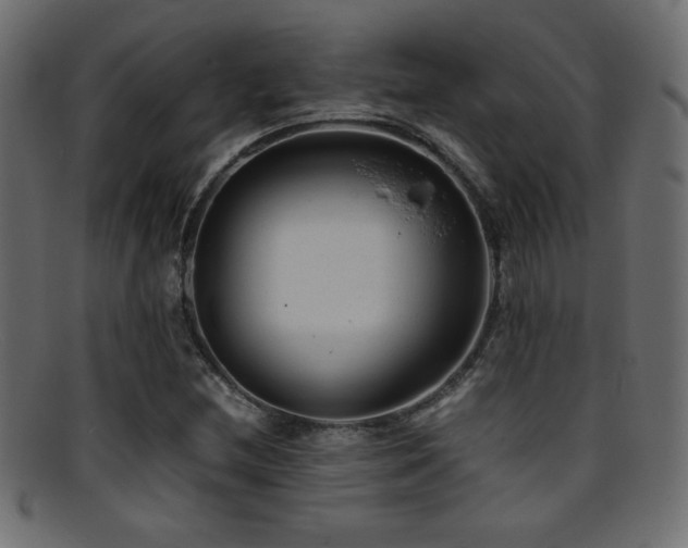 X0000095691212200801081241