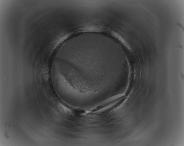 X0000095691213200801081241
