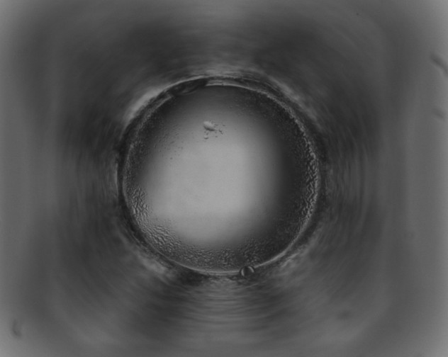 X0000095691214200801081241