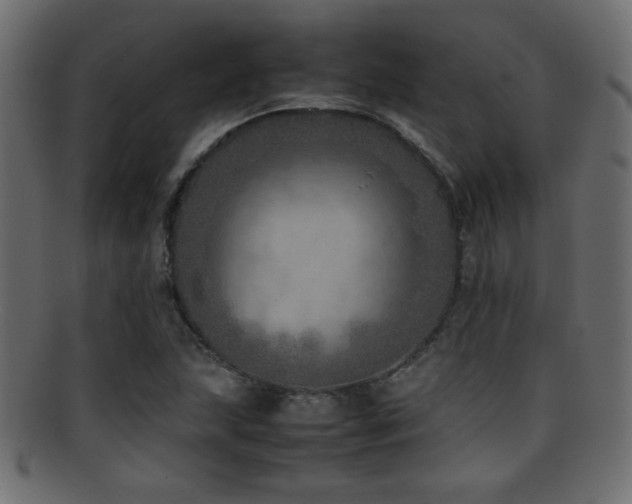 X0000095691215200801081241