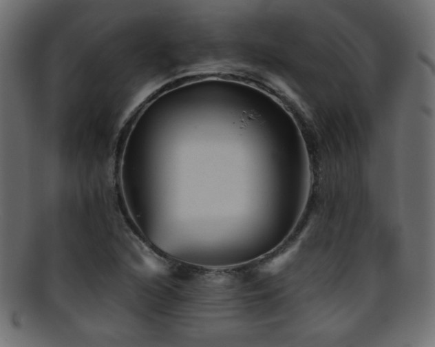 X0000095691216200801081241