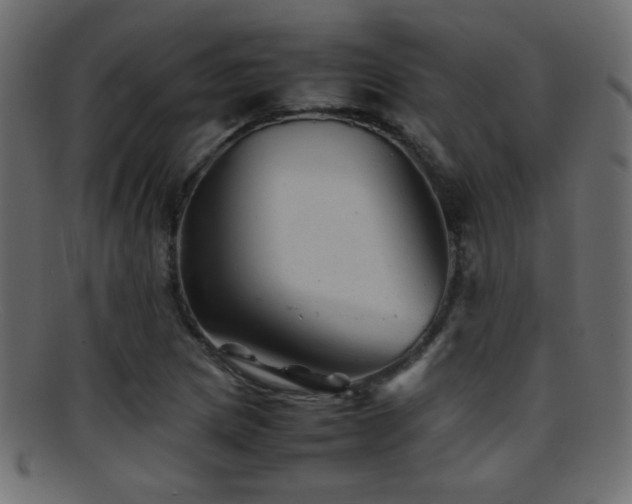 X0000095691217200801081241