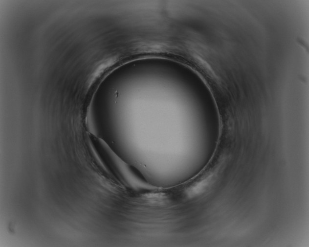 X0000095691218200801081241