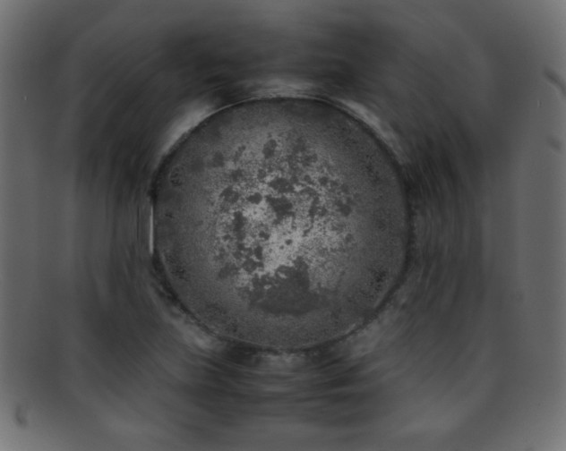 X0000095691219200801081241