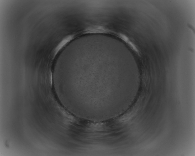 X0000095691221200801081241