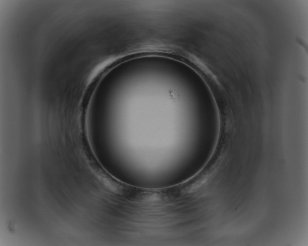 X0000095691222200801081241