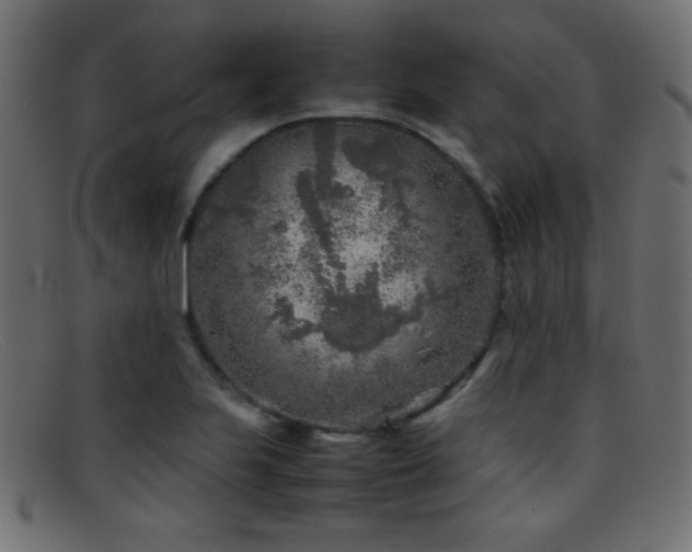 X0000095691223200801081241