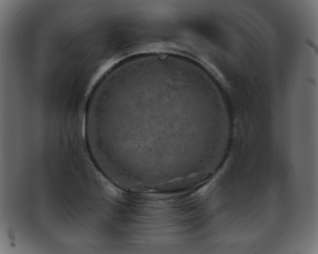 X0000095691224200801081241