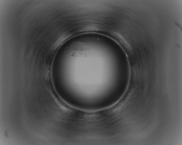 X0000095691225200801081241