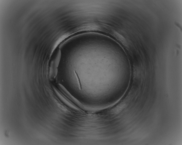 X0000095691226200801081241