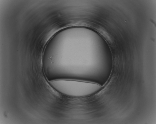 X0000095691228200801081241