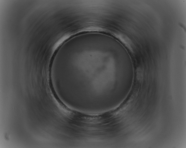 X0000095691229200801081241