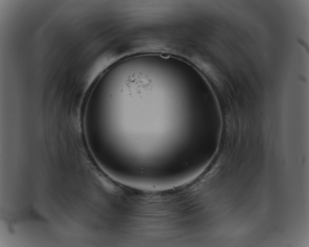 X0000095691230200801081241