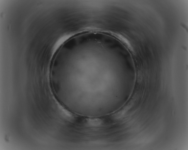 X0000095691231200801081241