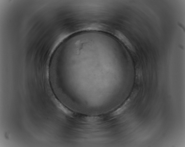 X0000095691232200801081241