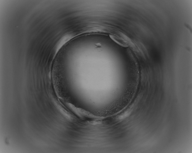 X0000095691234200801081241
