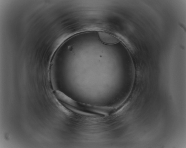 X0000095691236200801081241