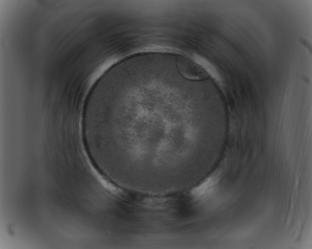 X0000095691237200801081241