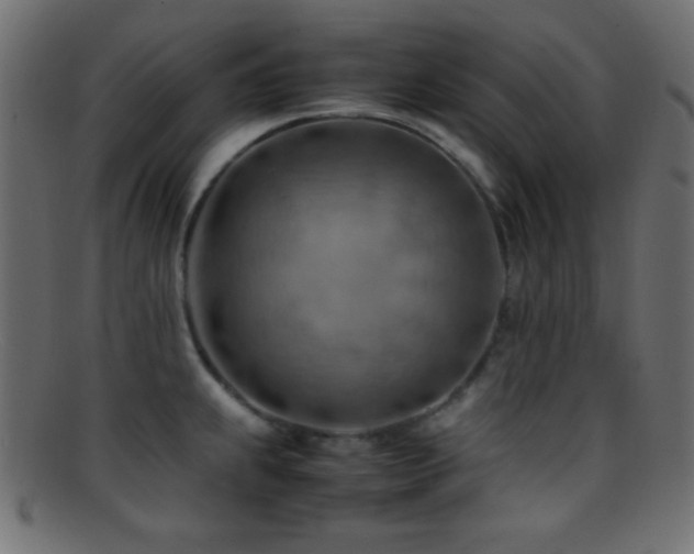 X0000095691239200801081241