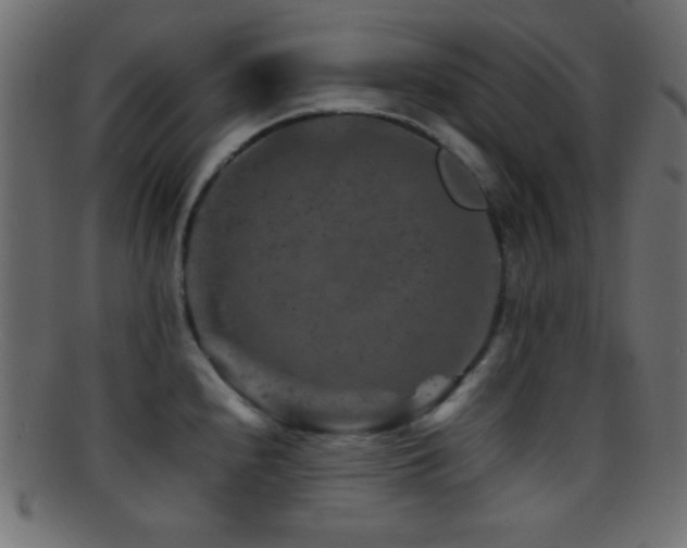 X0000095691240200801081241