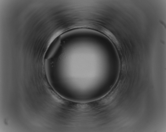 X0000095691242200801081241