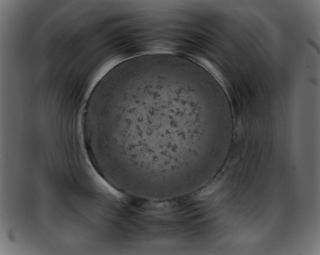 X0000095691243200801081241