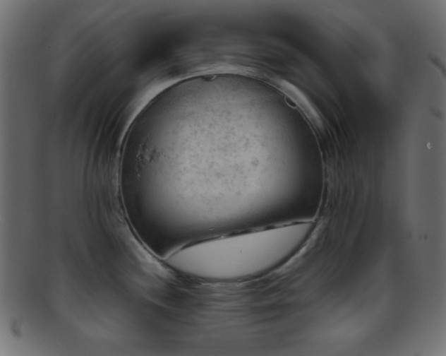 X0000095691244200801081241