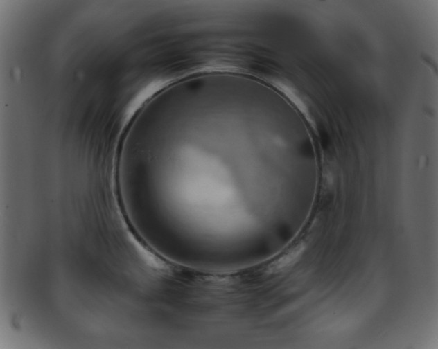 X0000095691245200801081241