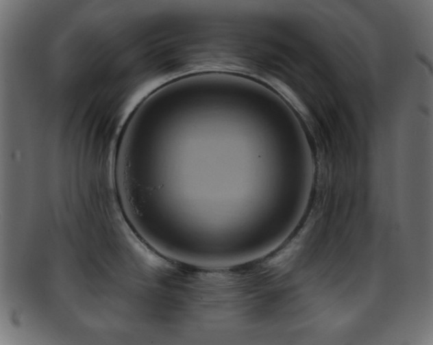 X0000095691246200801081241