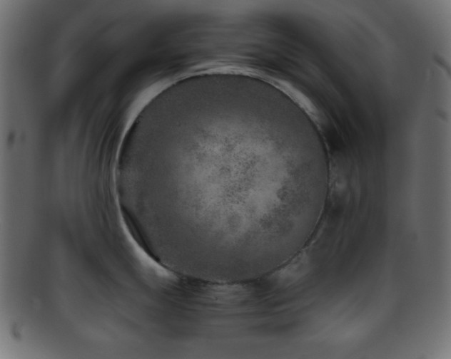 X0000095691247200801081241