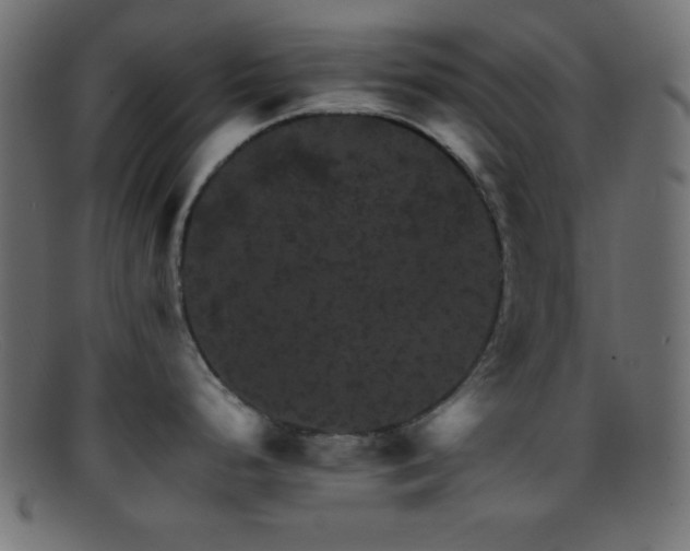 X0000095691248200801081241