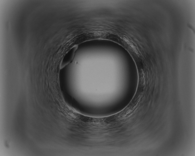 X0000095691249200801081241