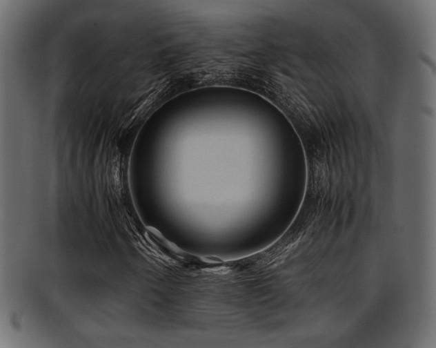 X0000095691250200801081241