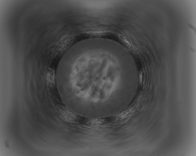 X0000095691251200801081241