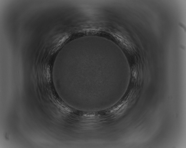 X0000095691252200801081241