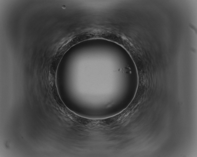 X0000095691253200801081241