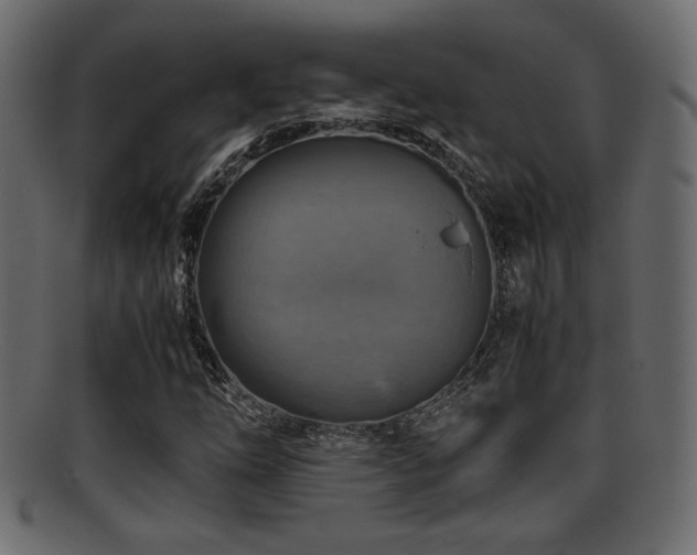X0000095691254200801081240