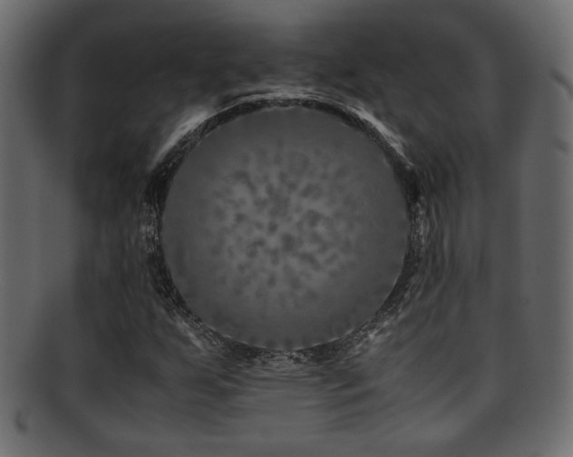 X0000095691255200801081240