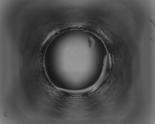 X0000095691256200801081240