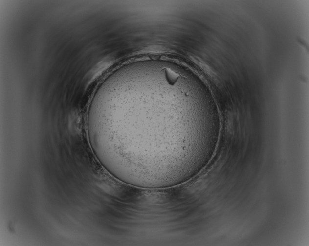 X0000095691258200801081240