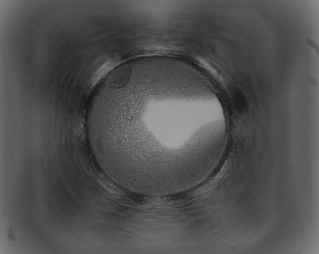 X0000095691259200801081240