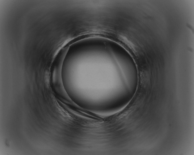 X0000095691260200801081240