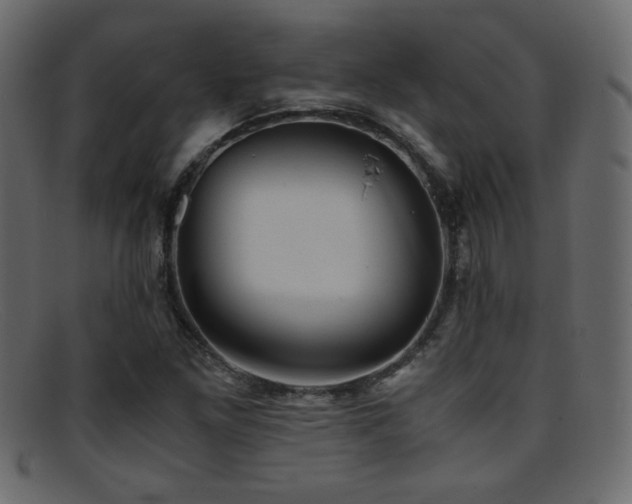 X0000095691261200801081240
