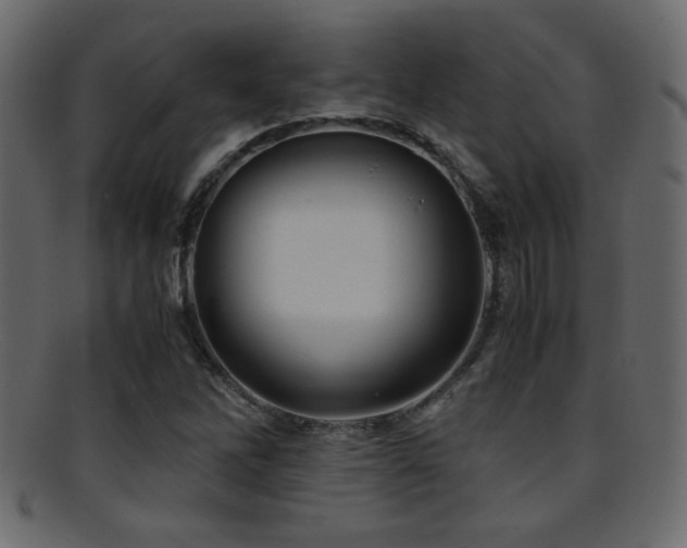 X0000095691262200801081240