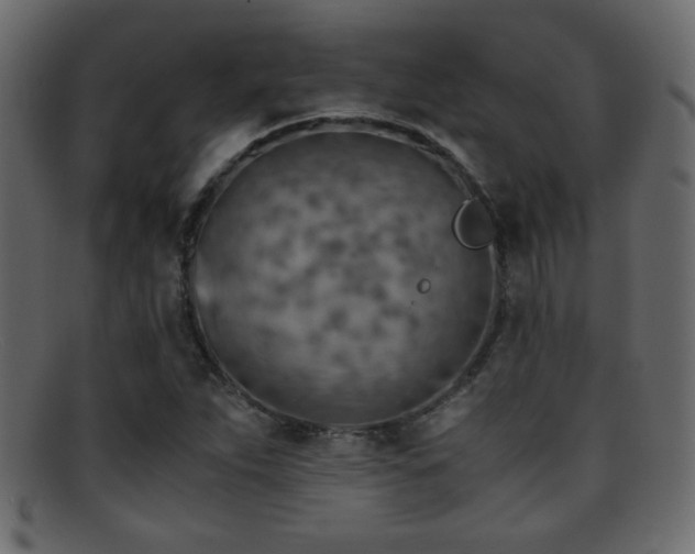 X0000095691263200801081240