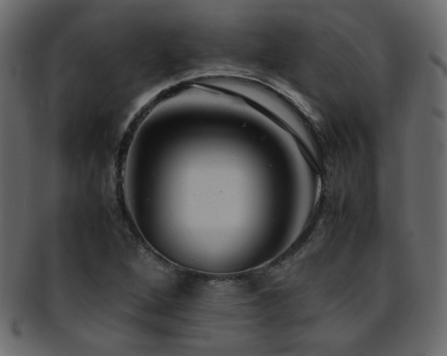 X0000095691264200801081240