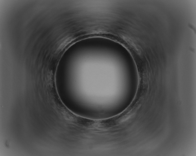 X0000095691265200801081240