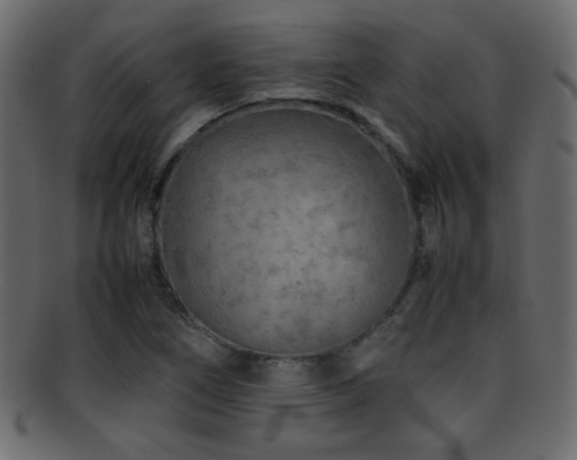 X0000095691266200801081240