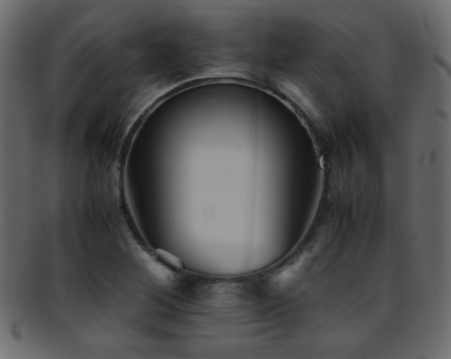 X0000095691268200801081240
