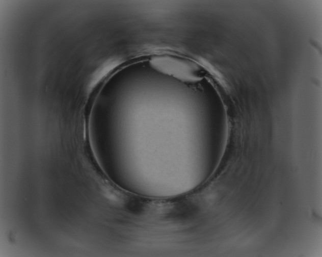 X0000095691269200801081240
